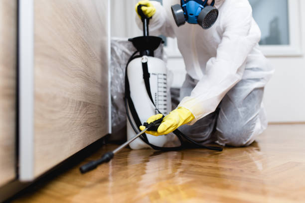 Best Best Pest Control Companies  in Harvey, LA
