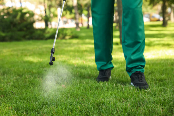 Best Bed Bug Extermination  in Harvey, LA