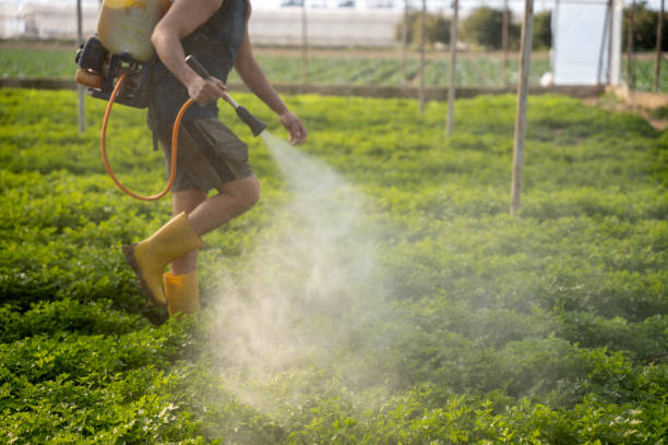Best Wildlife Control Services  in Harvey, LA