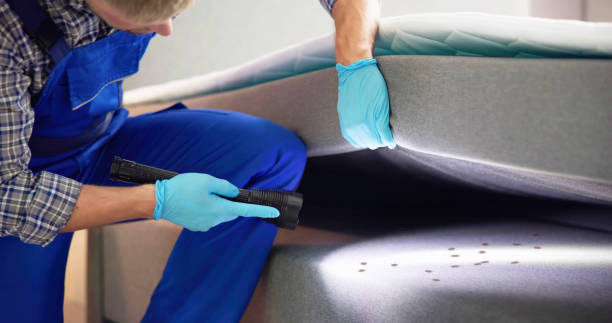 Best Affordable Pest Control Services  in Harvey, LA