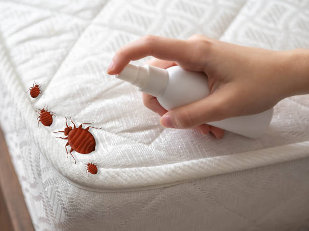 Best Pest Control for Restaurants  in Harvey, LA