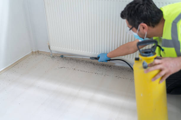 Best Pest Removal Services  in Harvey, LA
